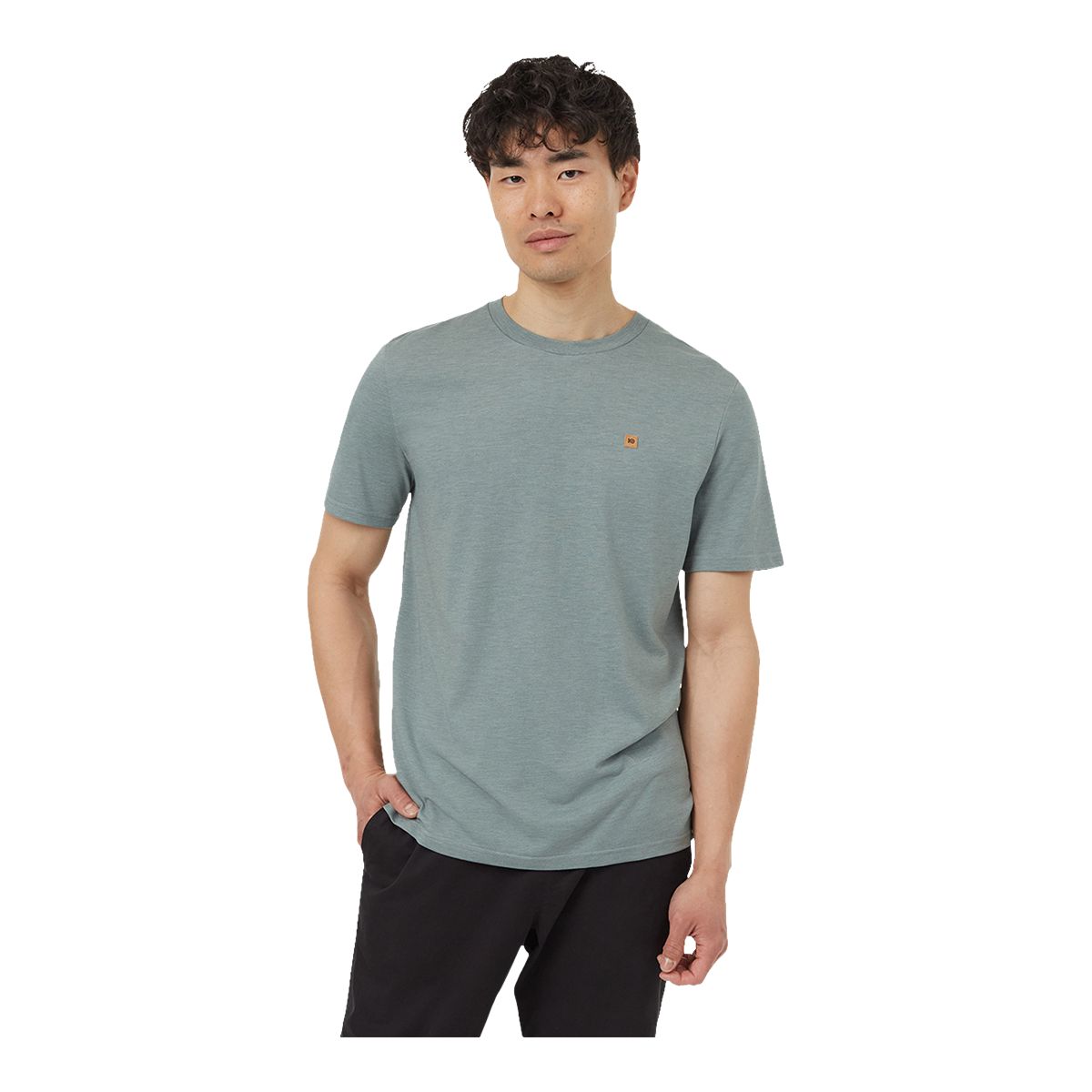 Tentree Men's TreeBlend Classic T Shirt