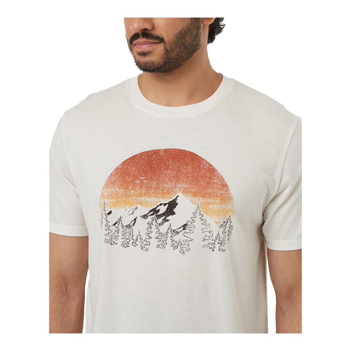 Tentree Men's Vintage Sunset T Shirt