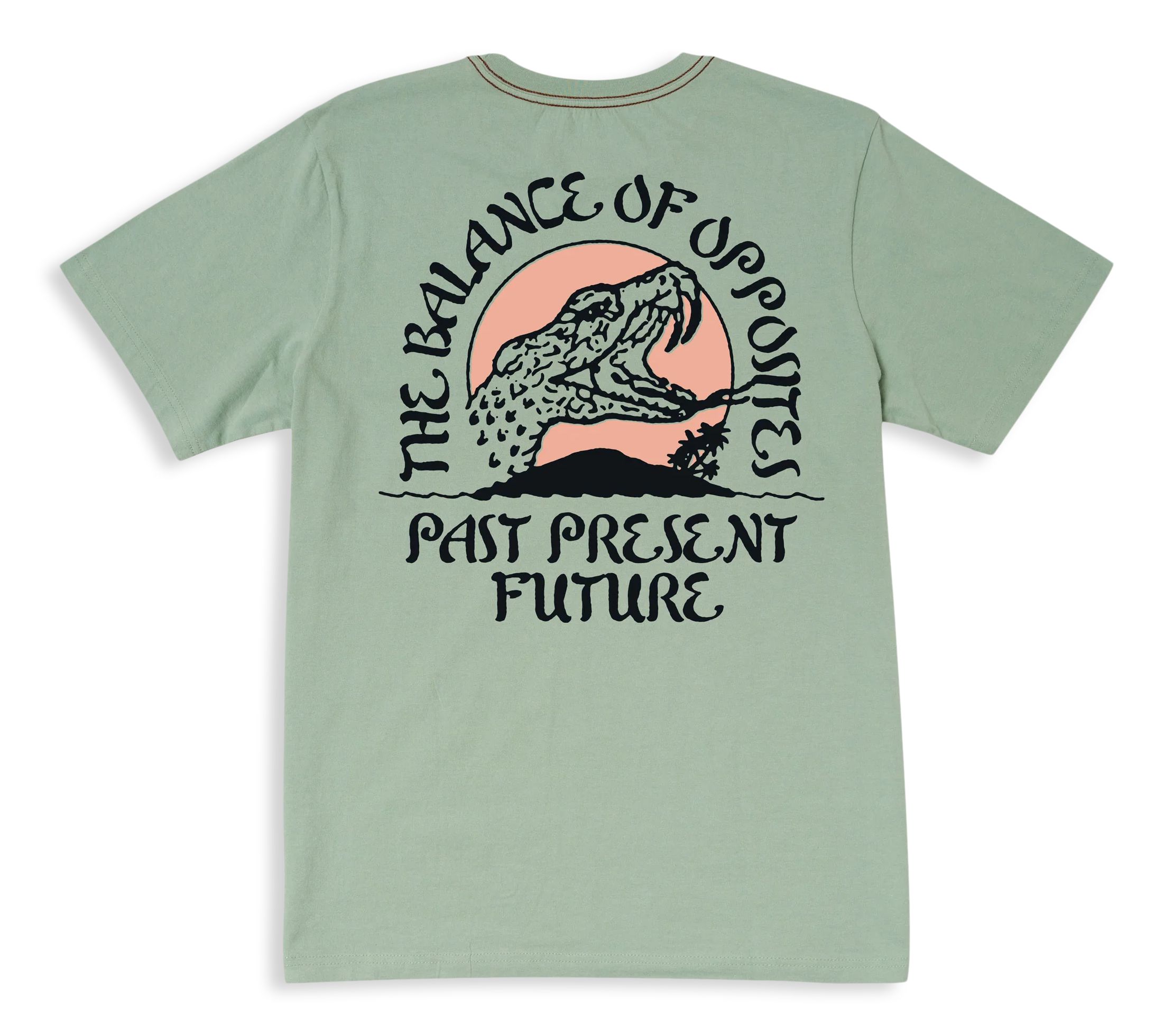 RVCA Men's Whiskey Bite T Shirt