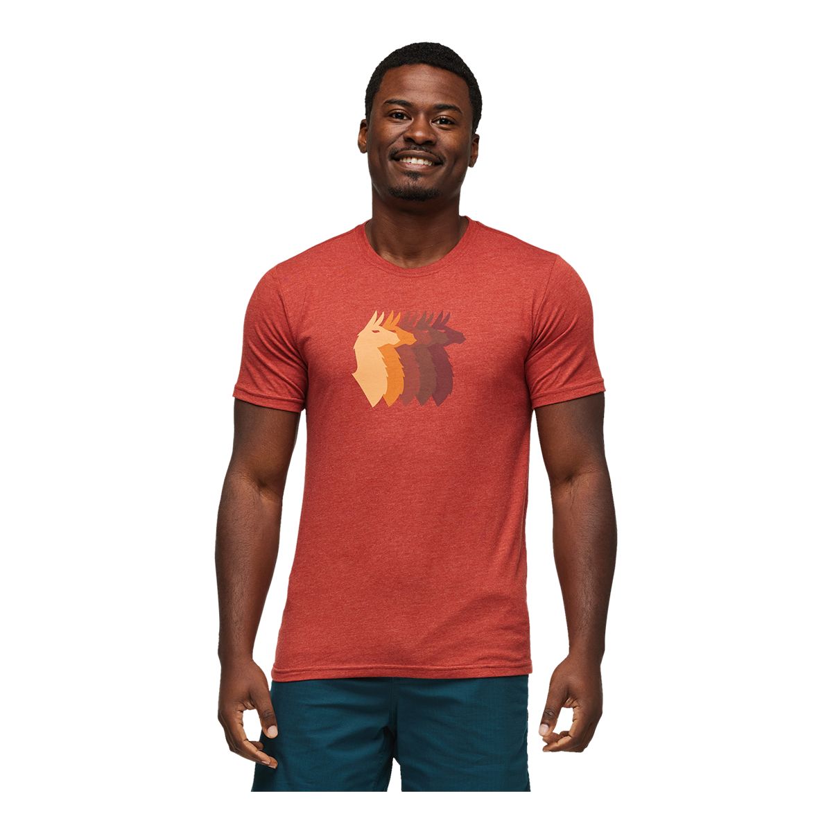 Image of Cotopaxi Men's Llama Sequence Organic T Shirt