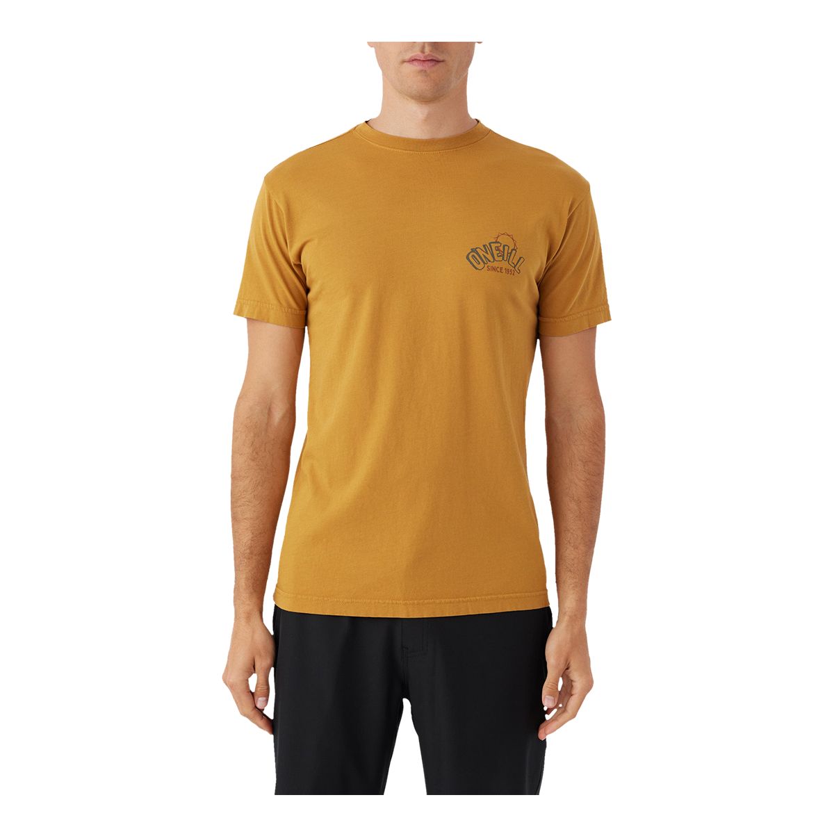 O'Neill Men's Surf Turkey T Shirt