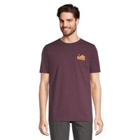 Woods Men's Cayley Mountain T Shirt Front_Flat