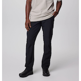 Columbia Men's Landroamer™ Pants Front_Flat