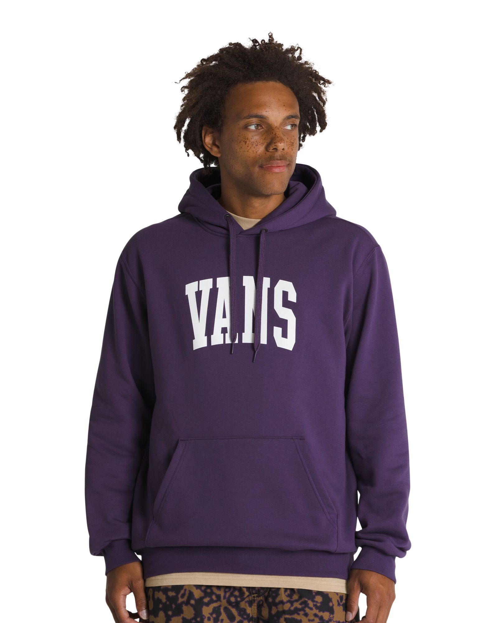 Vans Men's Arched II Pullover Hoodie