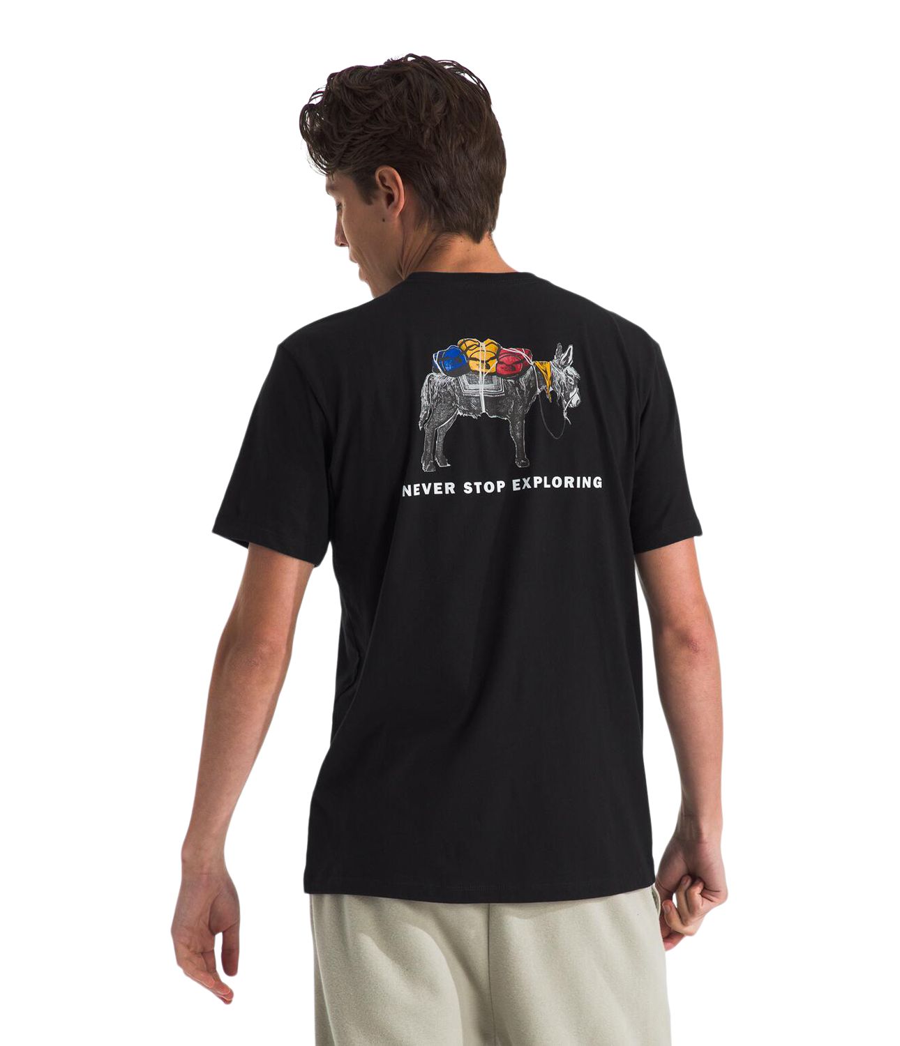 The North Face Men's Pony Wheels T Shirt