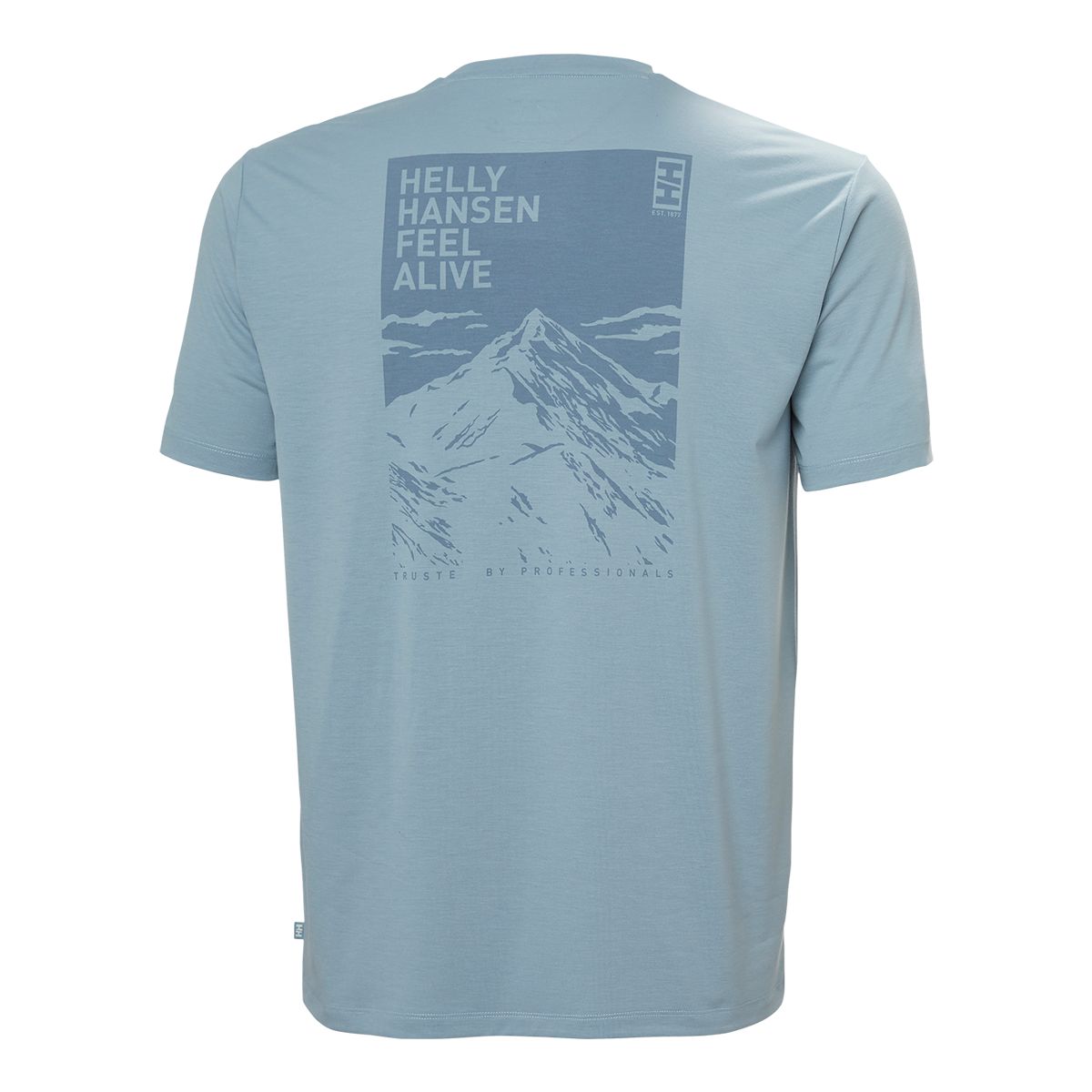 Helly Hansen Men's Skog Graphic T Shirt
