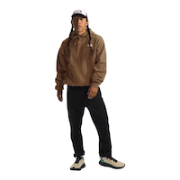 The North Face Men's Evolution Vintage Pullover Hoodie