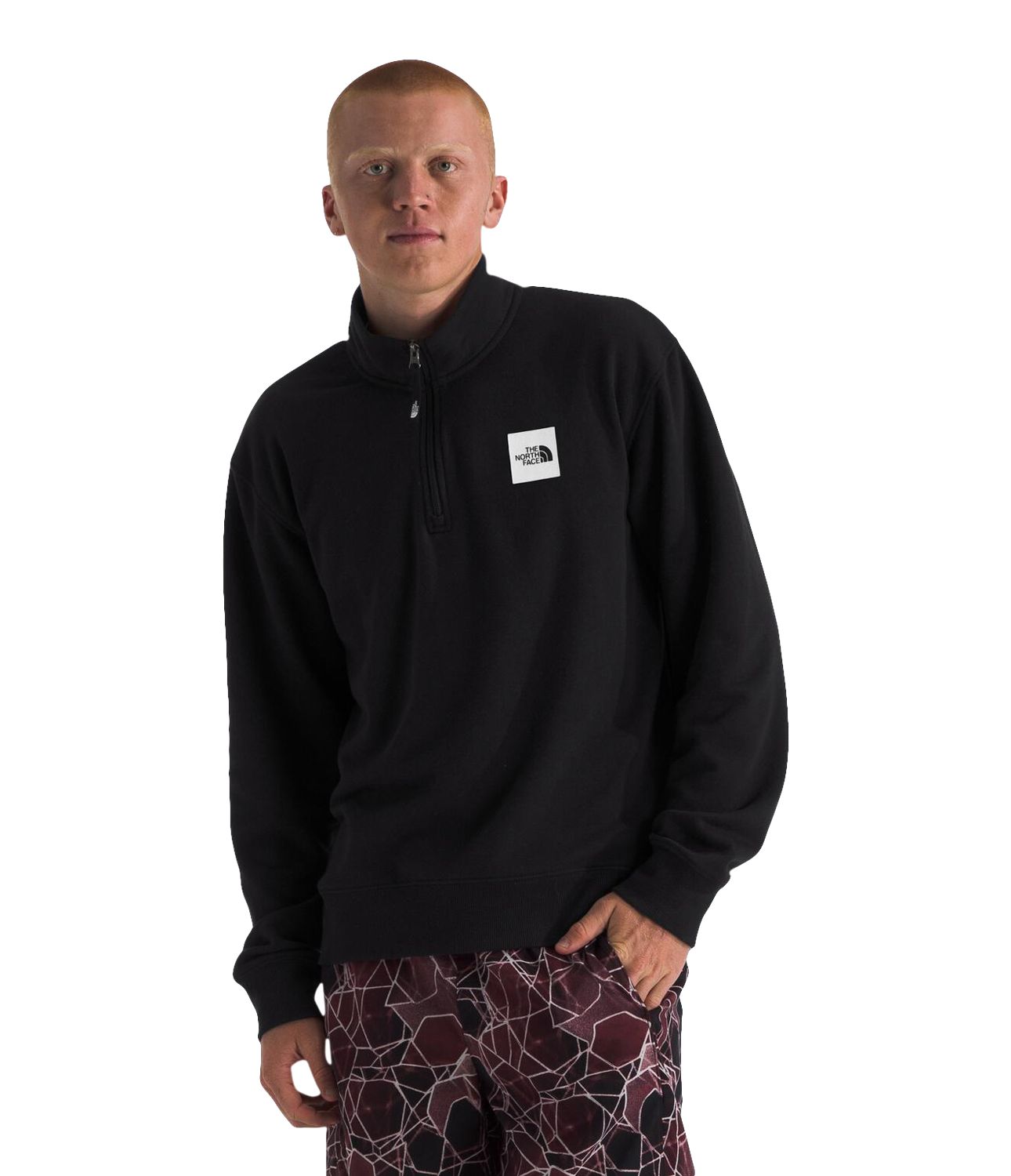 The North Face Men's Box Half Dome 1/4 Zip Long Sleeve Top