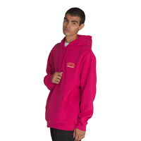 Vans Men's Major Type Hoodie Front_Angled_Left