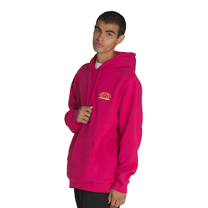 Vans Men's Major Type Hoodie