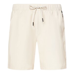 Oakley Men's All Day Shorts