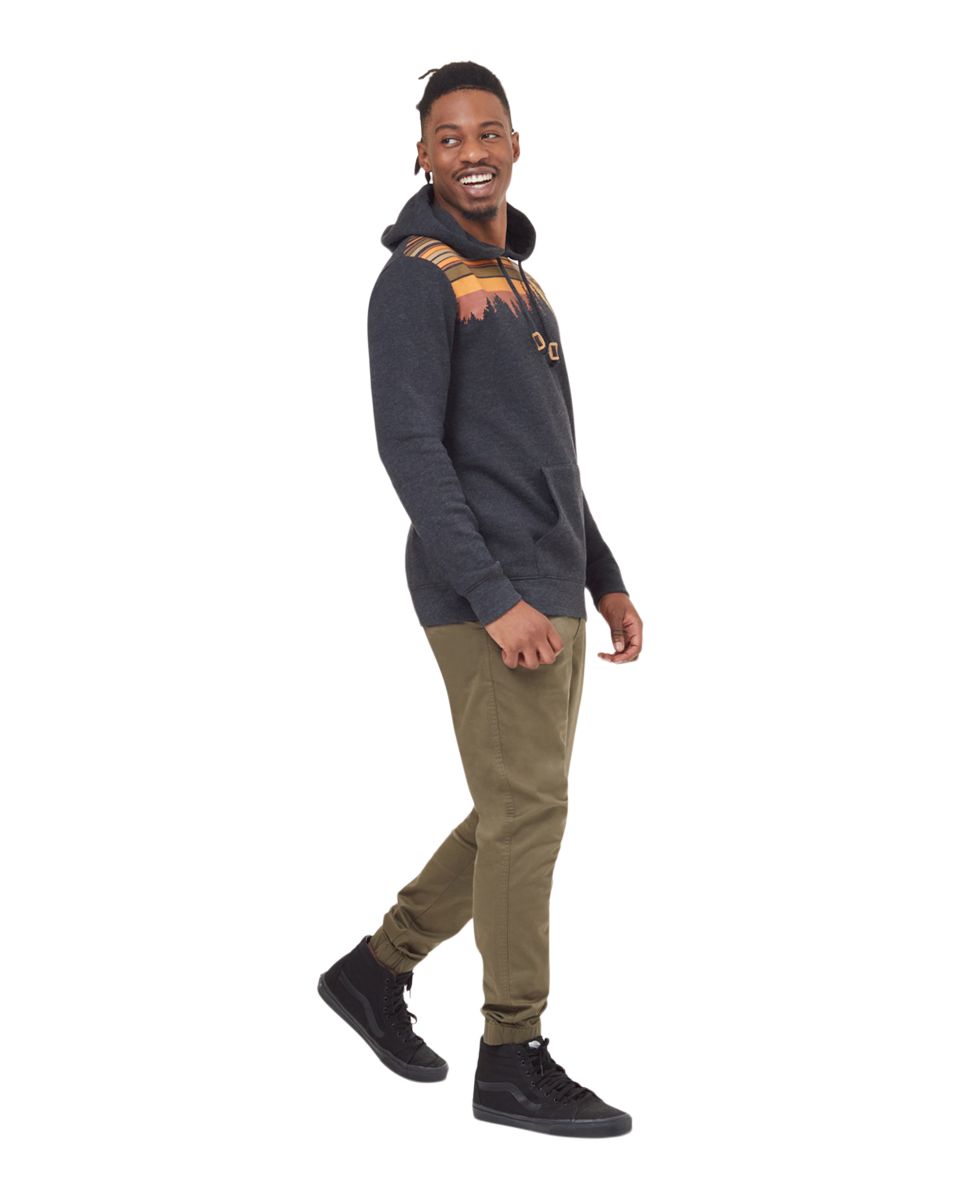 Tentree Men's Juniper Retro Hoodie