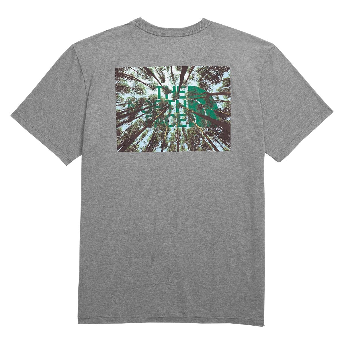 The North Face Men's Crown Shyness T Shirt