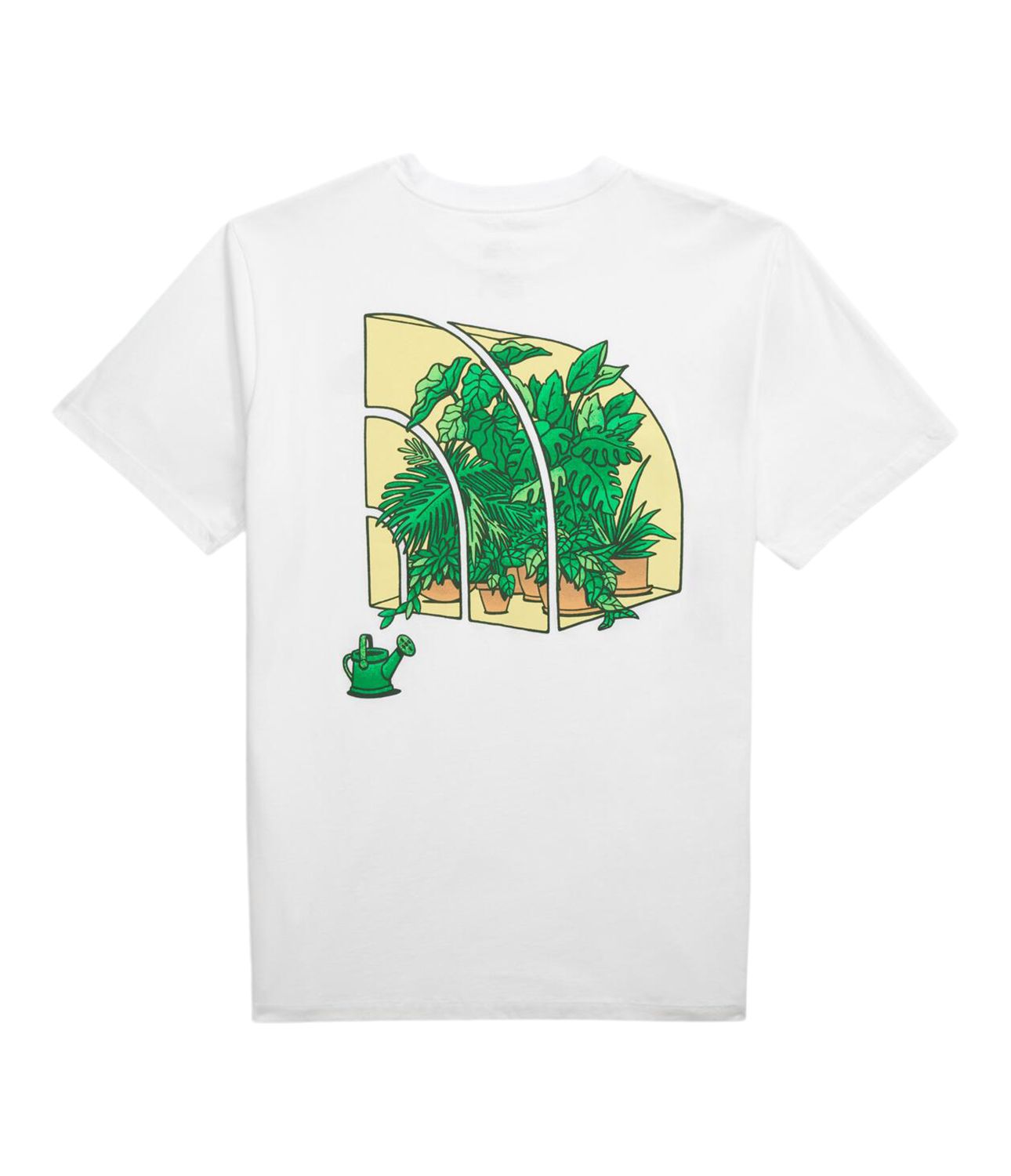 The North Face Men's Crown Shyness T Shirt