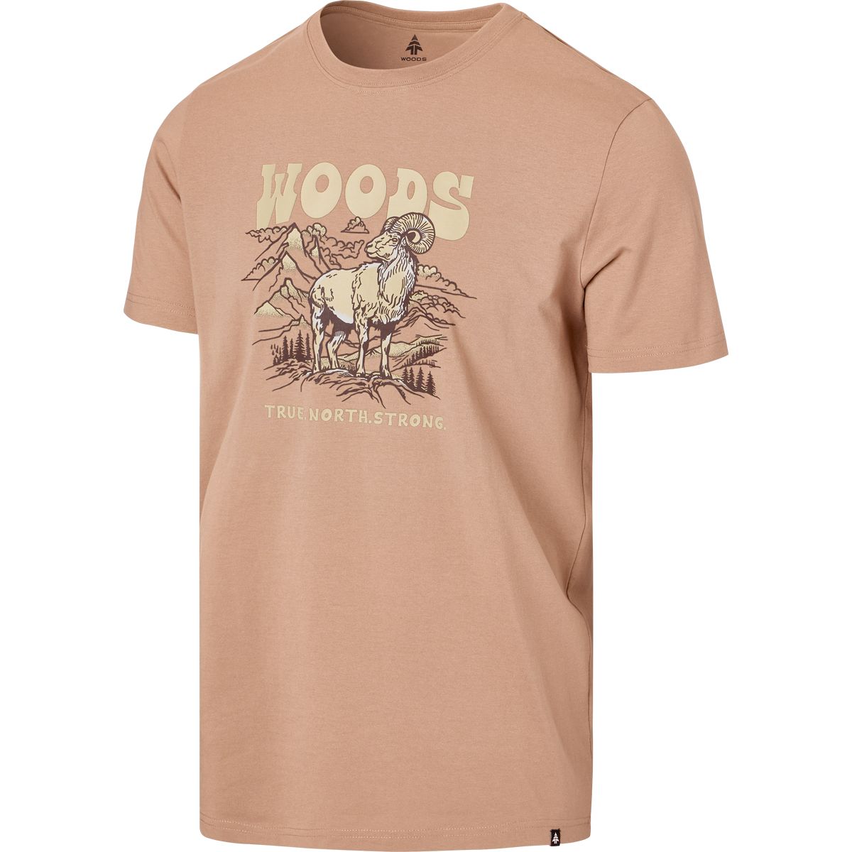 Woods Men's Cayley T Shirt
