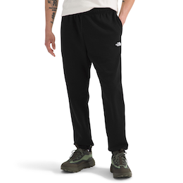 The North Face Men's Evolution Simple Dome Jogger Pants