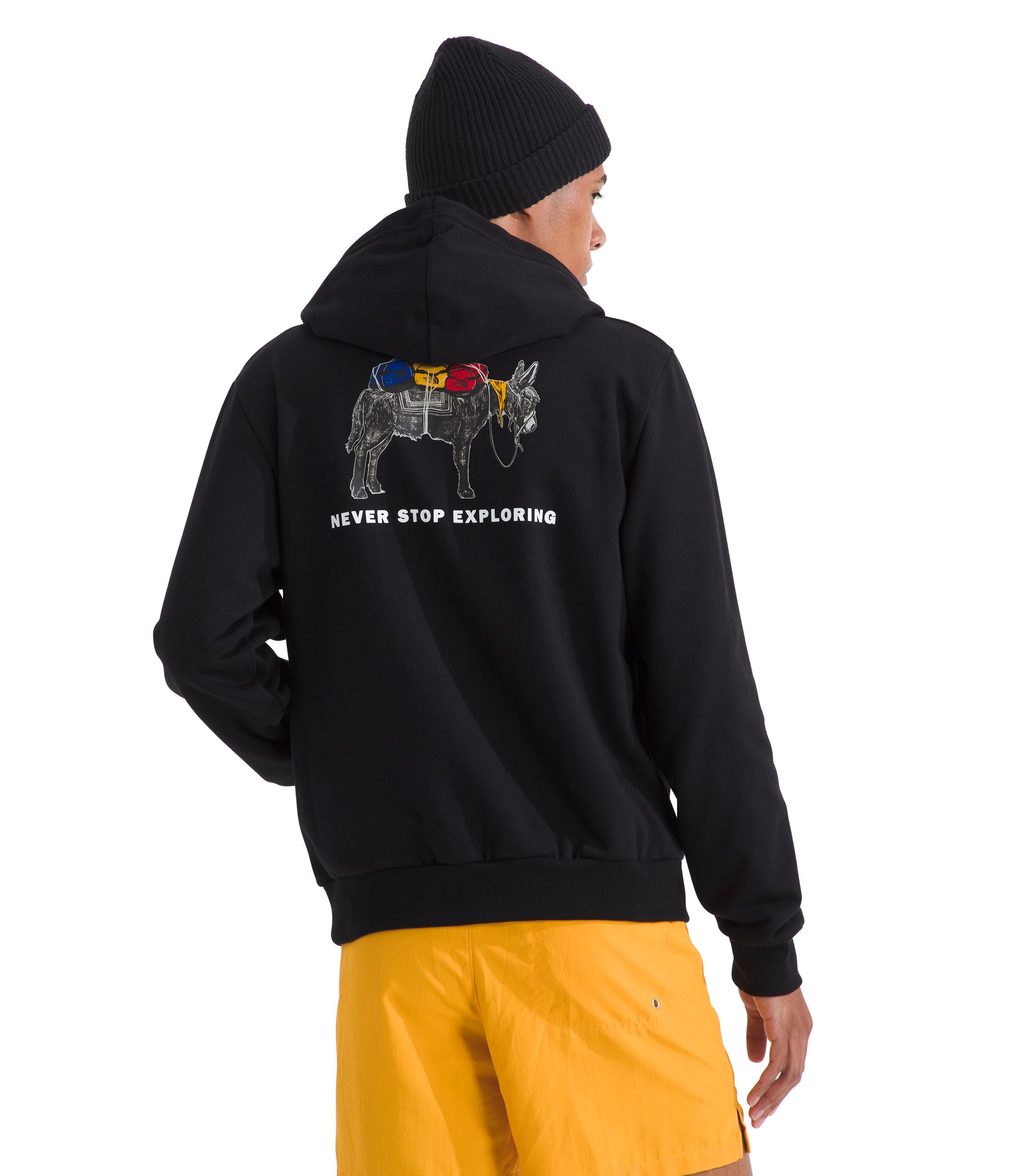 The North Face Men's Pack Pullover Hoodie