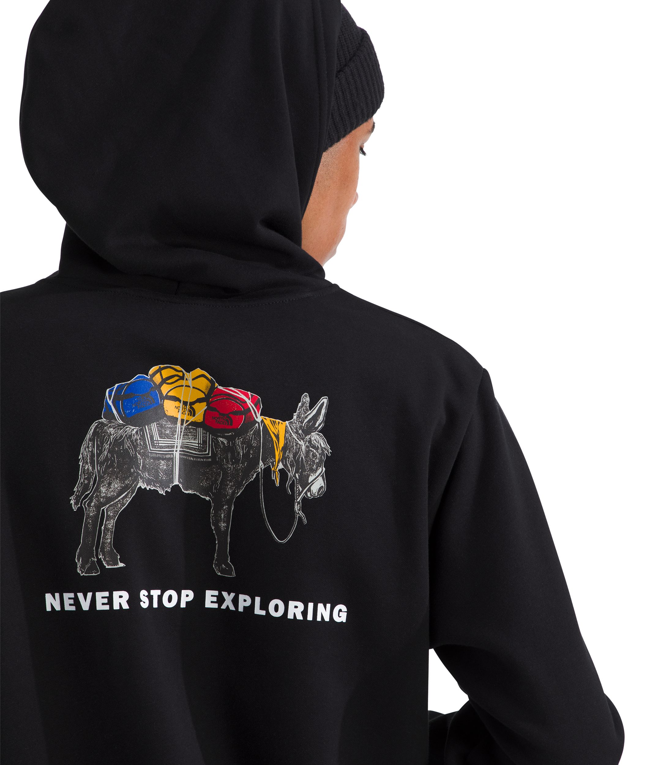 The North Face Men's Pack Pullover Hoodie