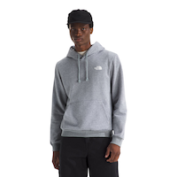 The North Face Men's Evolution NSE Hoodie Front_Flat