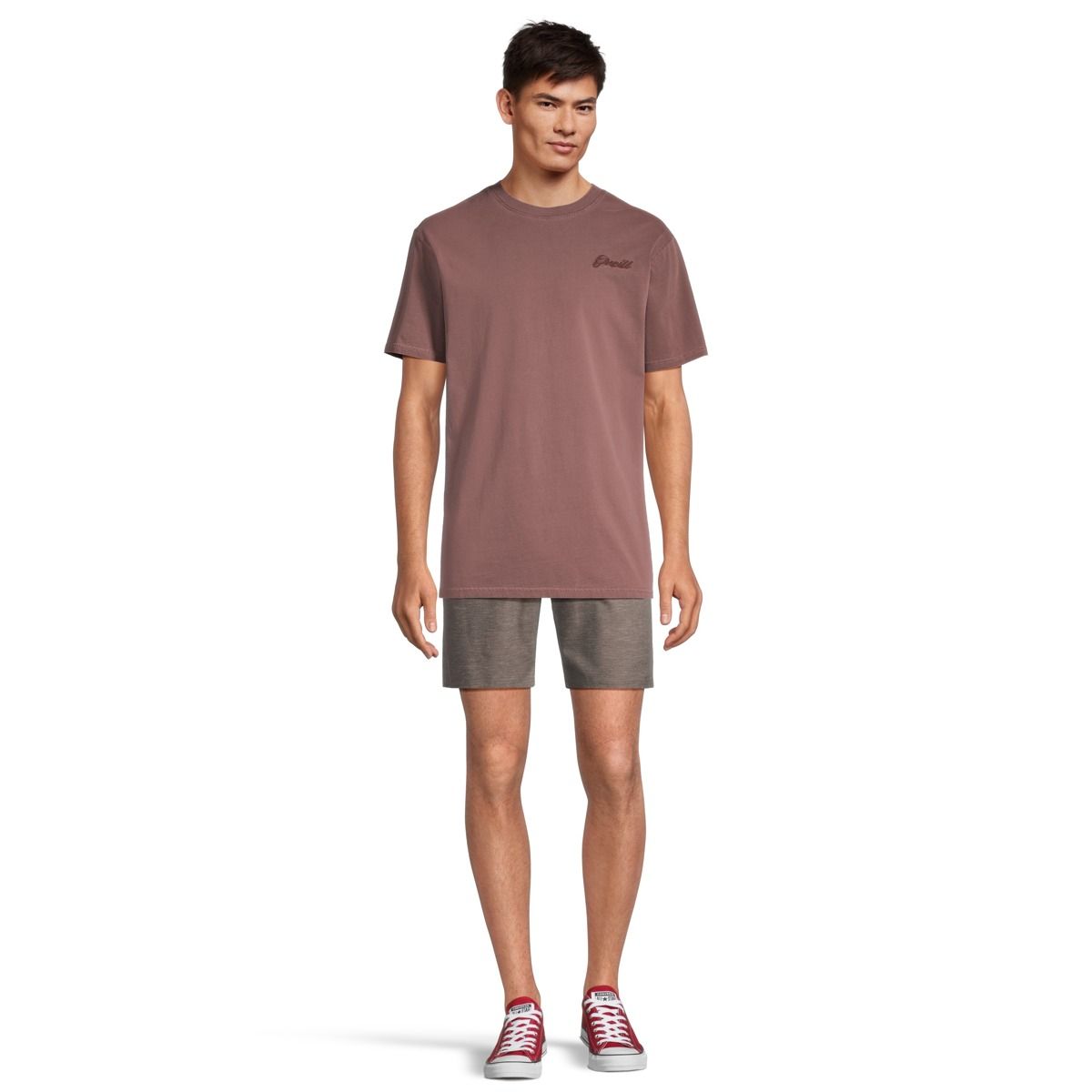O'Neill Men's Garment Washed Short Sleeve T-Shirt