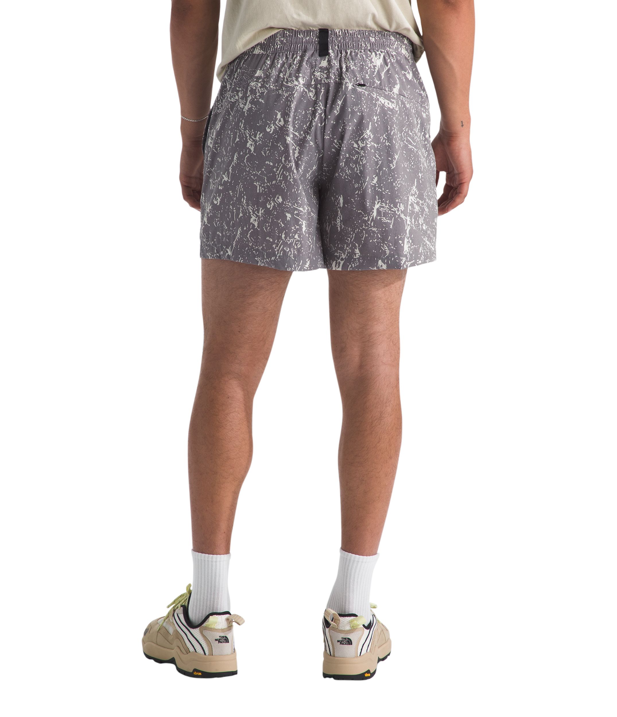 The North Face Men's Class V Pathfinder Shorts