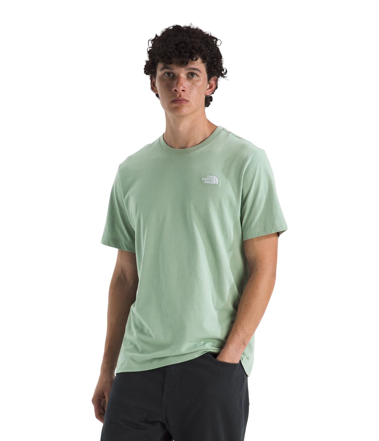 The North Face Men's Evolution Simple Dome T-Shirt