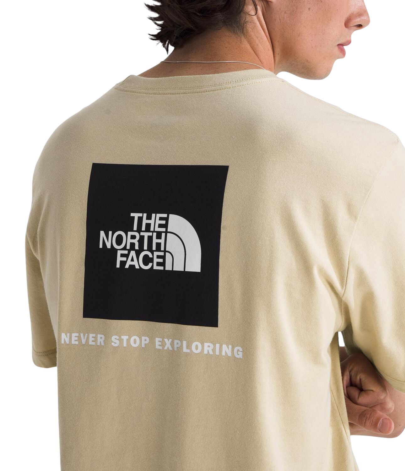 The North Face Men's Evolution NSE T-Shirt