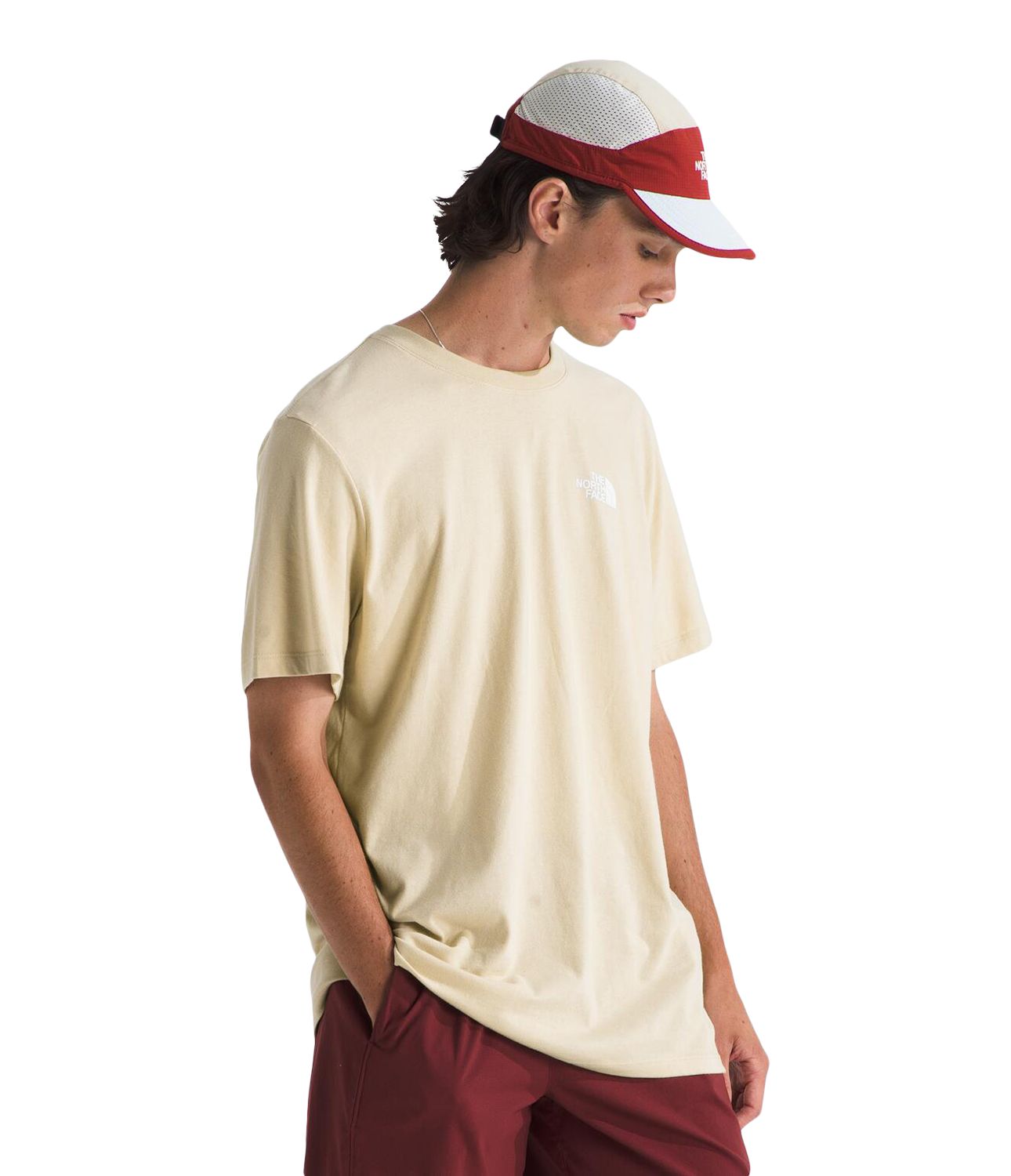 The North Face Men's Evolution NSE T-Shirt