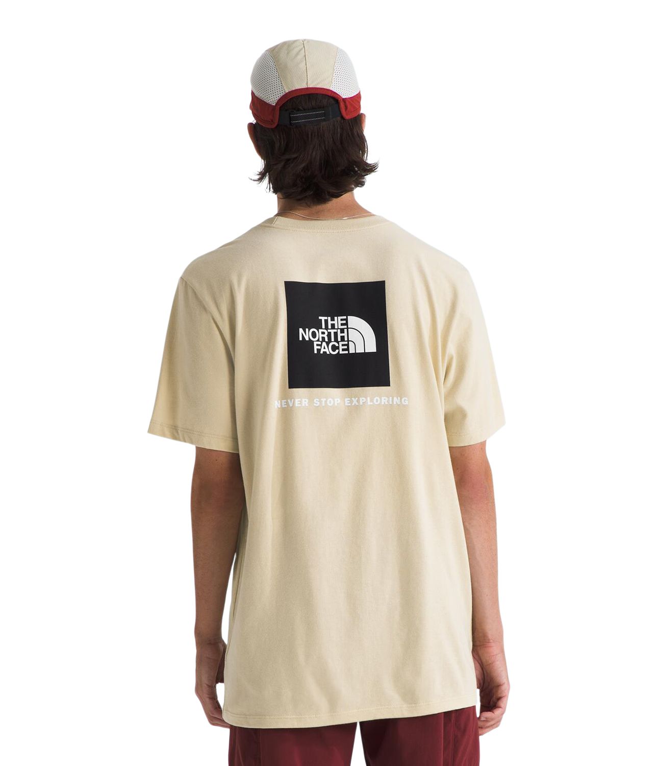 The North Face Men's Evolution NSE T-Shirt