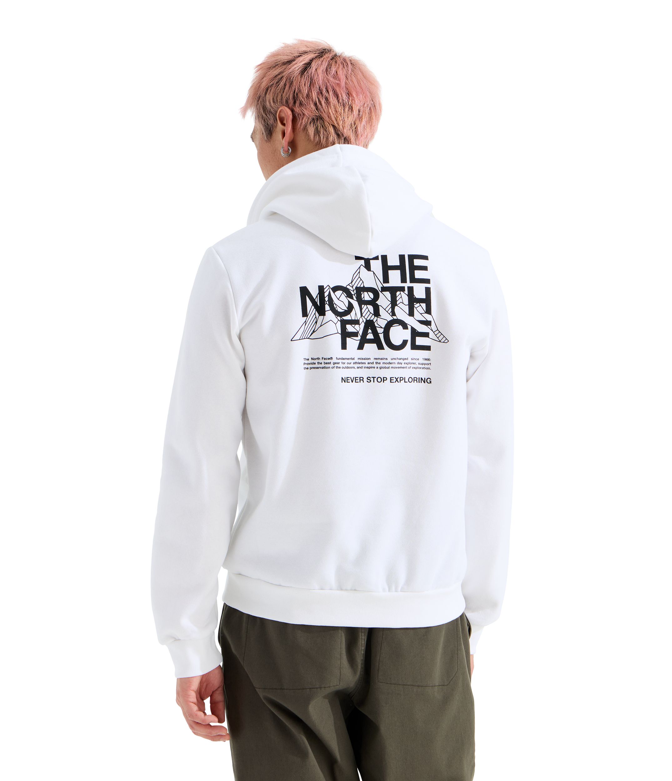 The North Face Men's Evolution Monte Hoodie