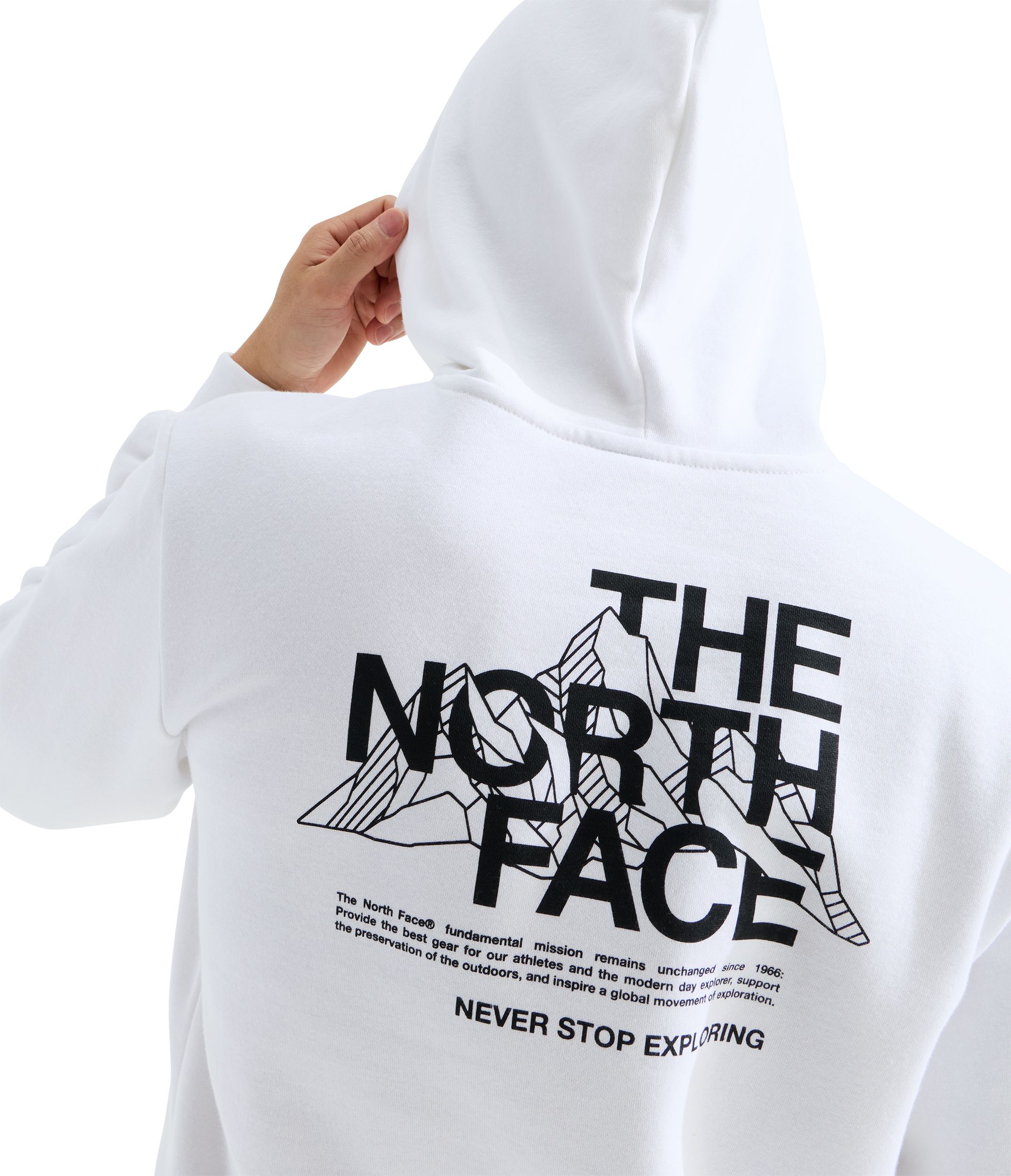 The North Face Men's Evolution Monte Hoodie