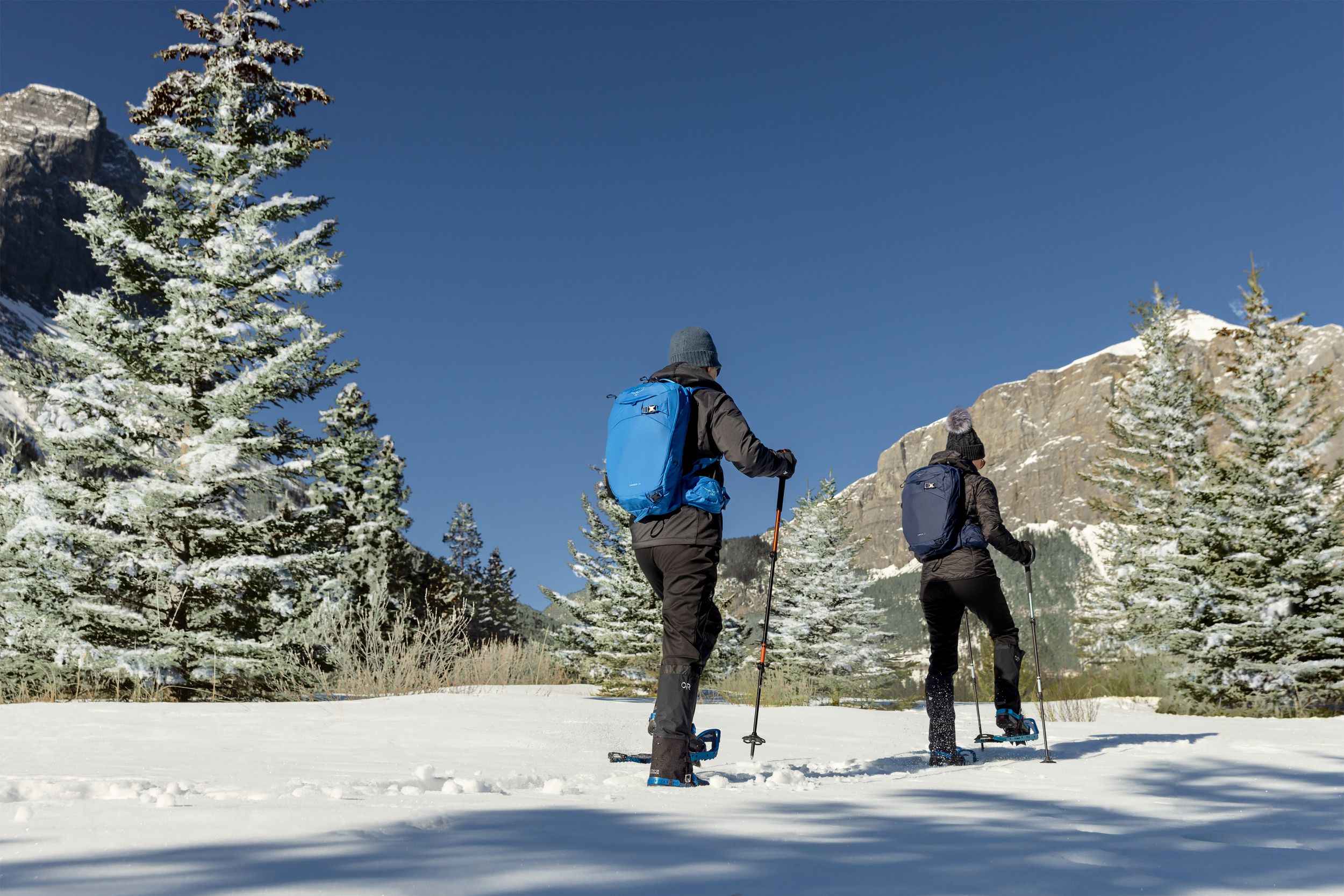 Atmosphere hiking clearance poles