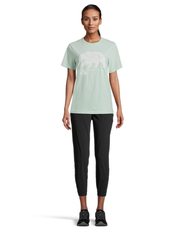 North face bearscape t shirt Clearance