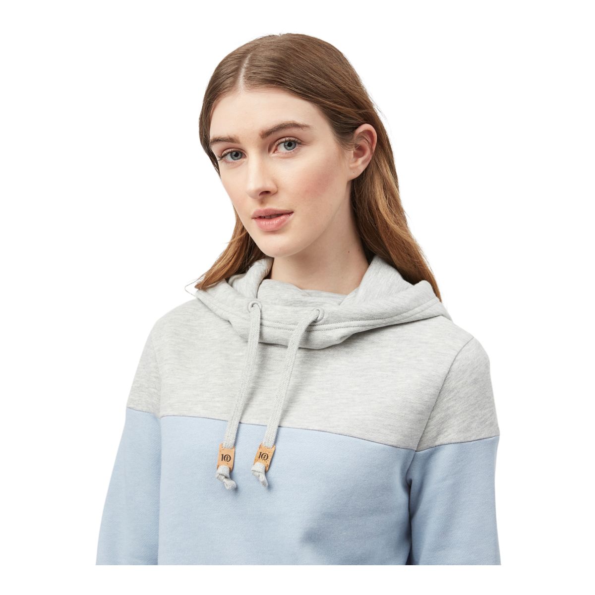 Tentree Women's TreeFleece Blocked Banshee Pullover Hoodie, Kangaroo Pocket