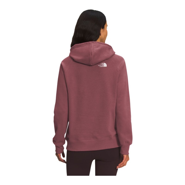 The North Face Women's Graphic Injection Sweatshirt Hoodie Atmosphere