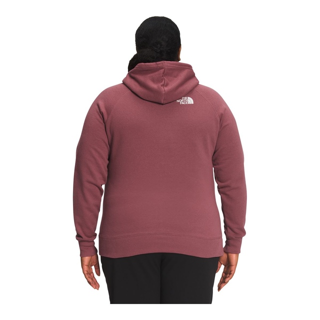 The North Face Women's Graphic Injection Pullover Hiking Hoodie, Plus