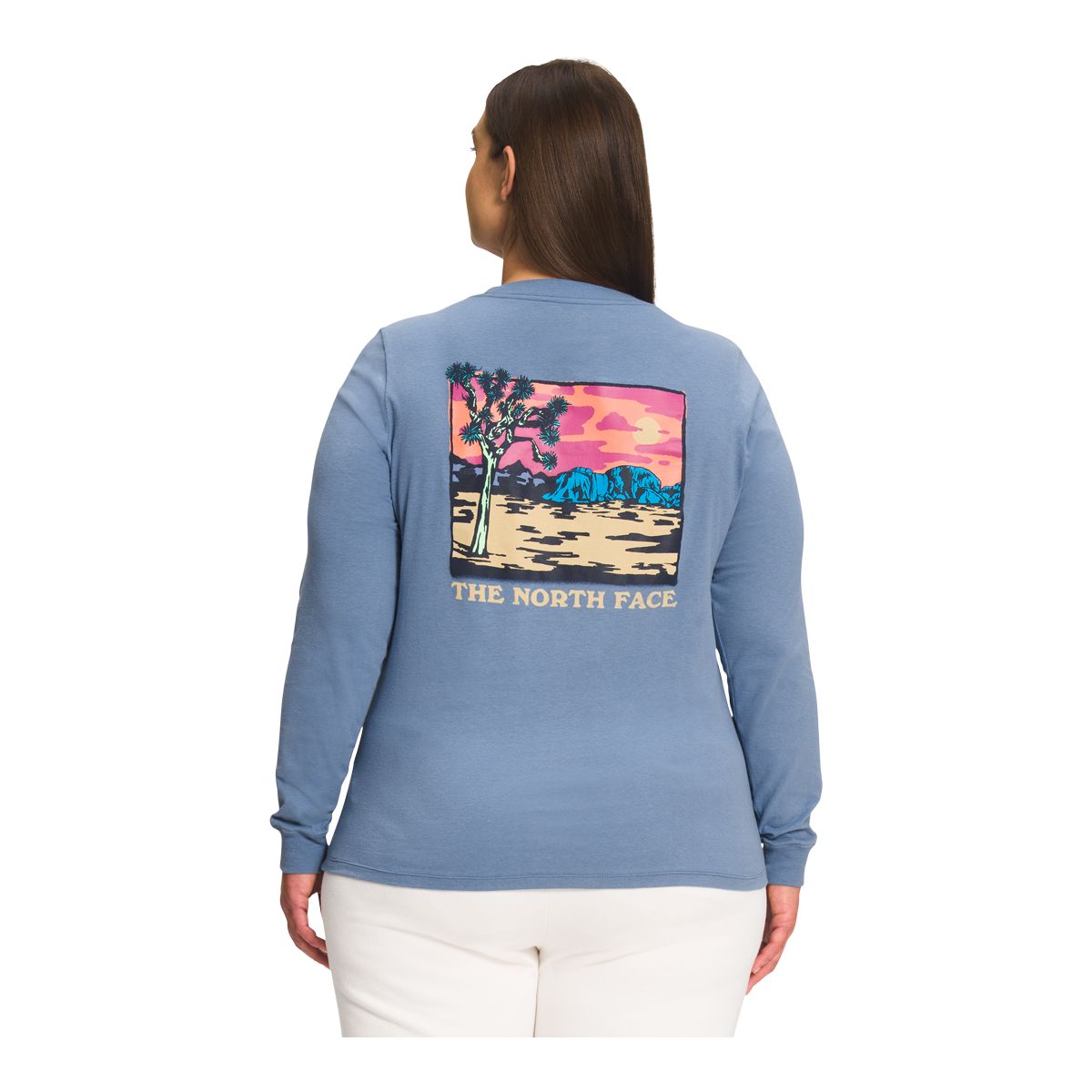 The North Face Women's Plus Size Graphic Injection Long Sleeve Shirt