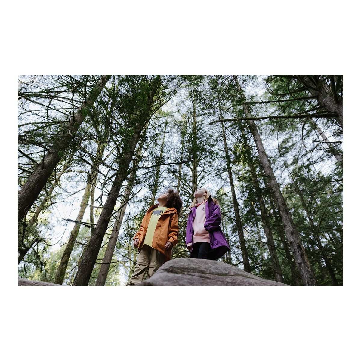 Woods Women's Walsh Long Sleeve Hooded Top