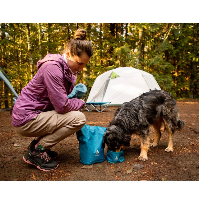 Woods Women's Tarry Jogger Camp Pants, Hiking, Outdoor, Relaxed Fit