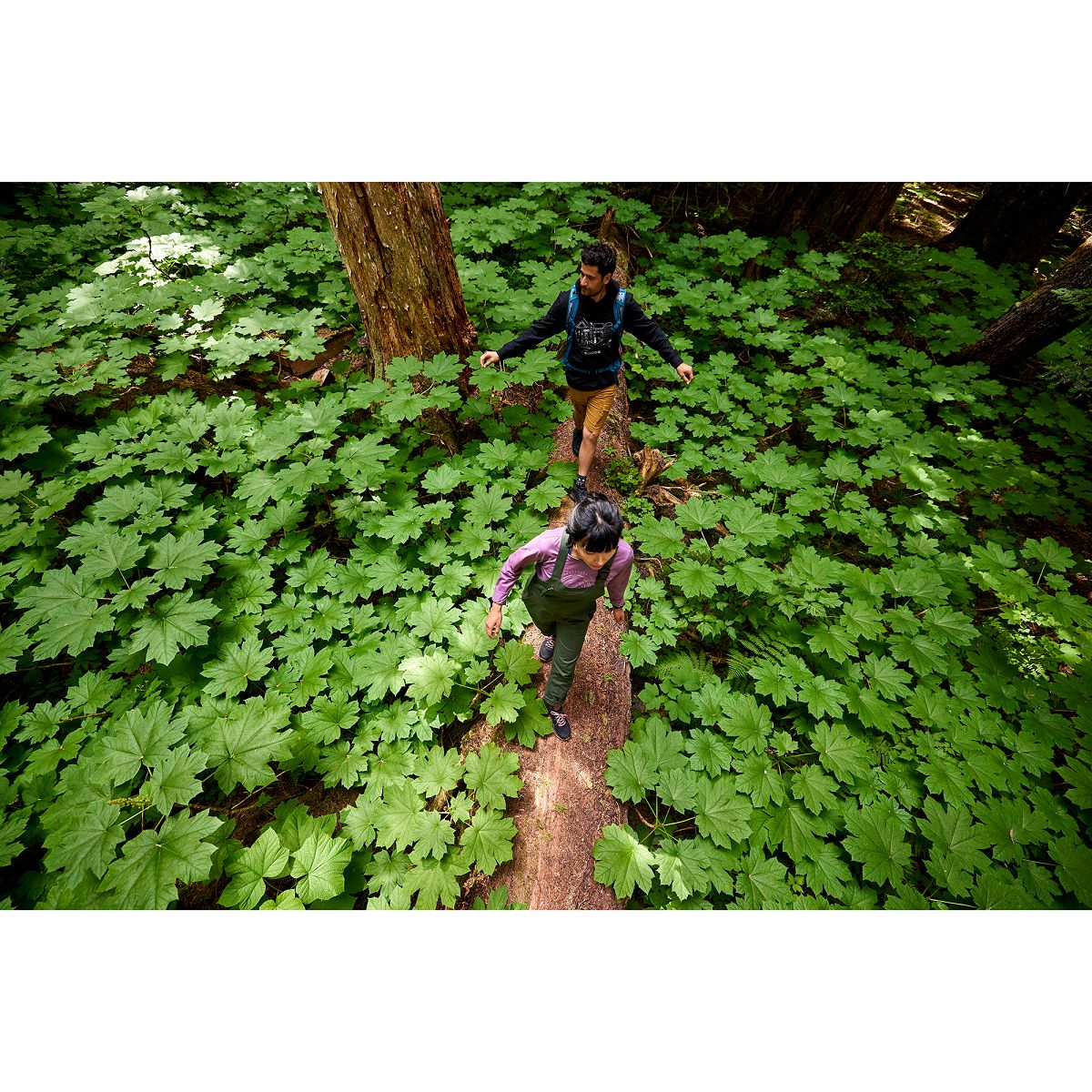 Woods Women's Perron Outdoor Overall Pants, Hiking, Outdoor