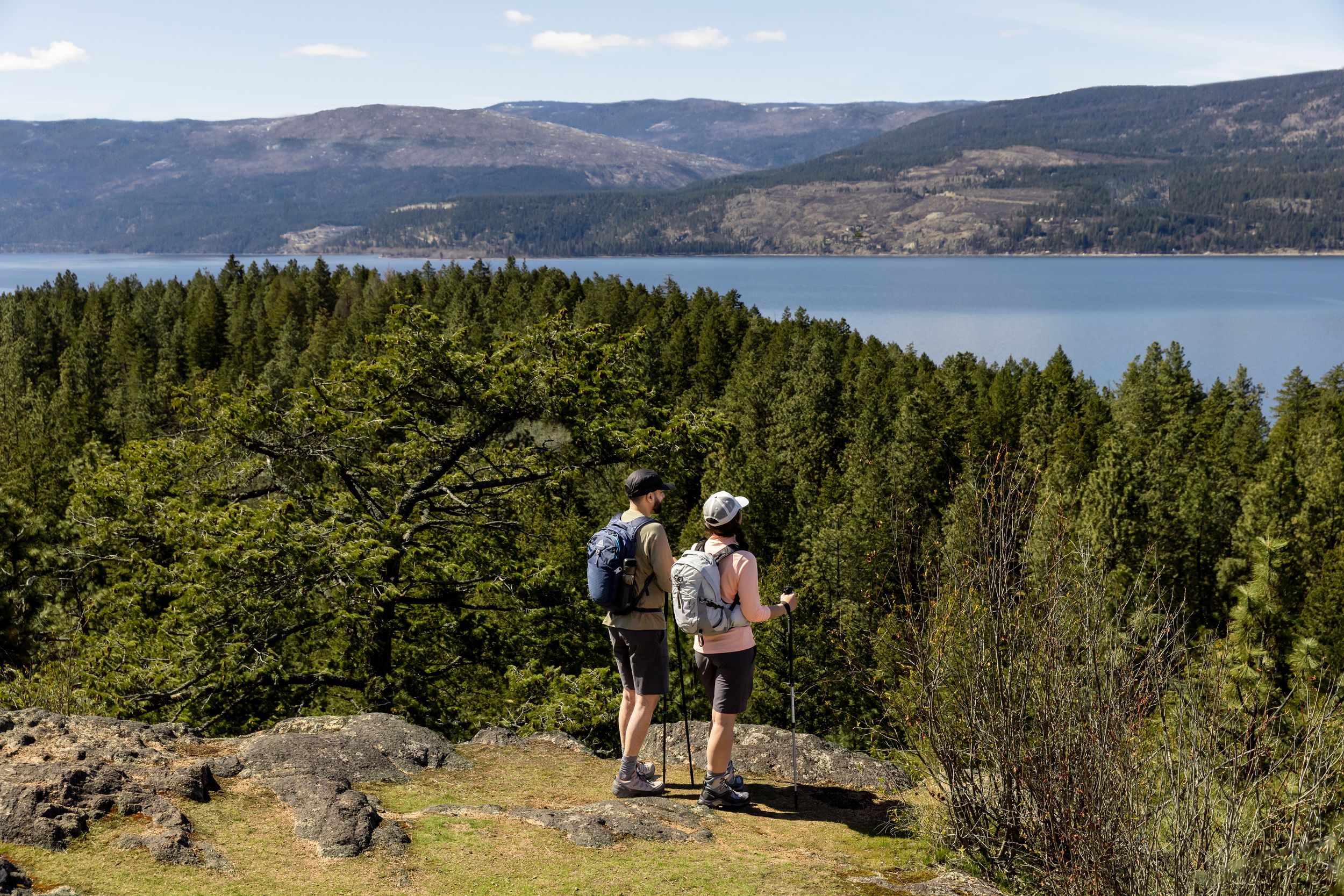 Gregory Nano 20L Backpack