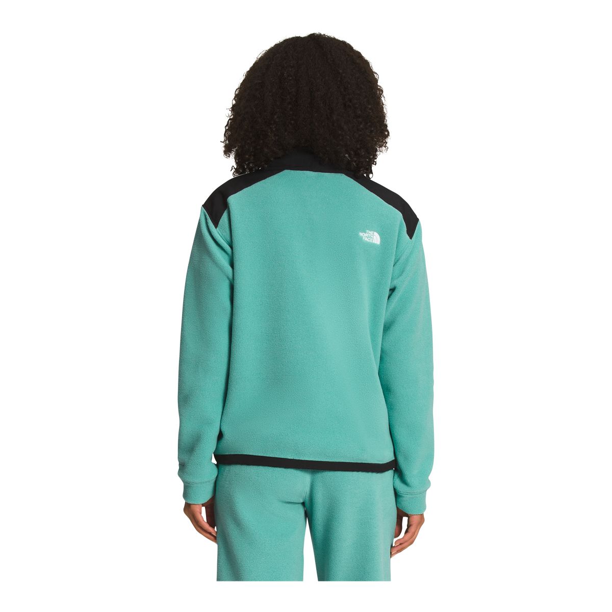 The North Face Women's Alpine Polartec 200 1/4 Zip Long Sleeve Top