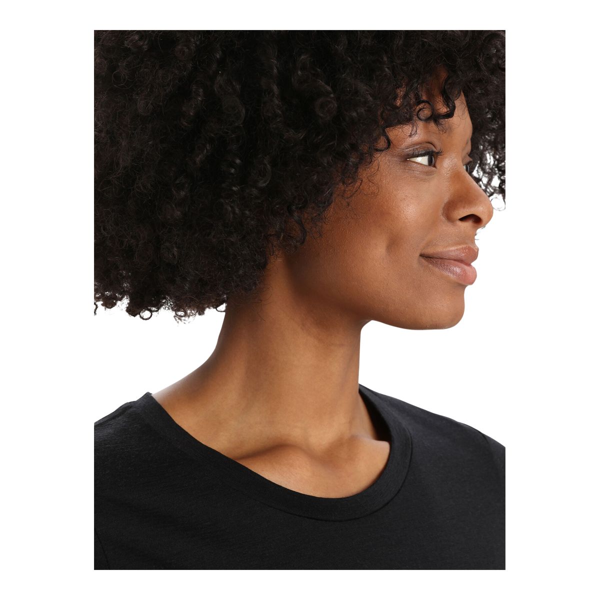 Icebreaker Women's Tech Lite II Mountain Geology T Shirt