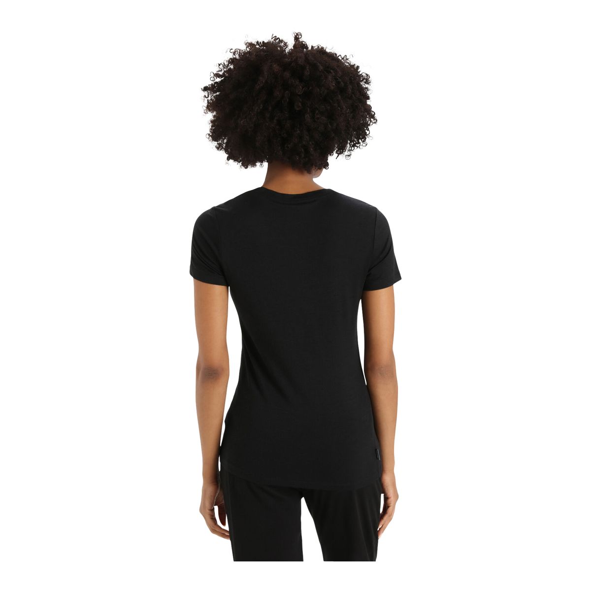 Icebreaker Women's Tech Lite II Mountain Geology T Shirt