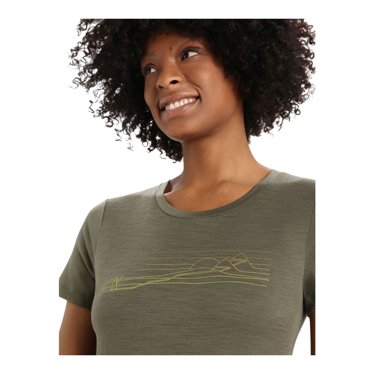 Icebreaker Women's Tech Lite II Ski Stripes T Shirt