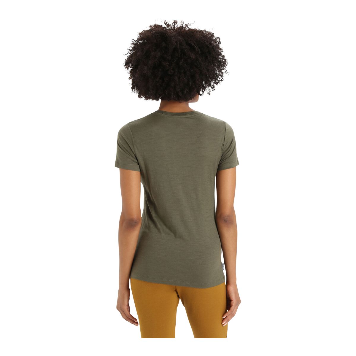 Icebreaker Women's Tech Lite II Ski Stripes T Shirt