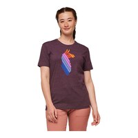 Cotopaxi Women's Llama Stripes Organic T Shirt Front_Angled_Right