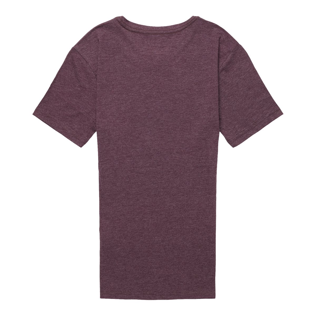 Cotopaxi Women's Llama Stripes Organic T Shirt