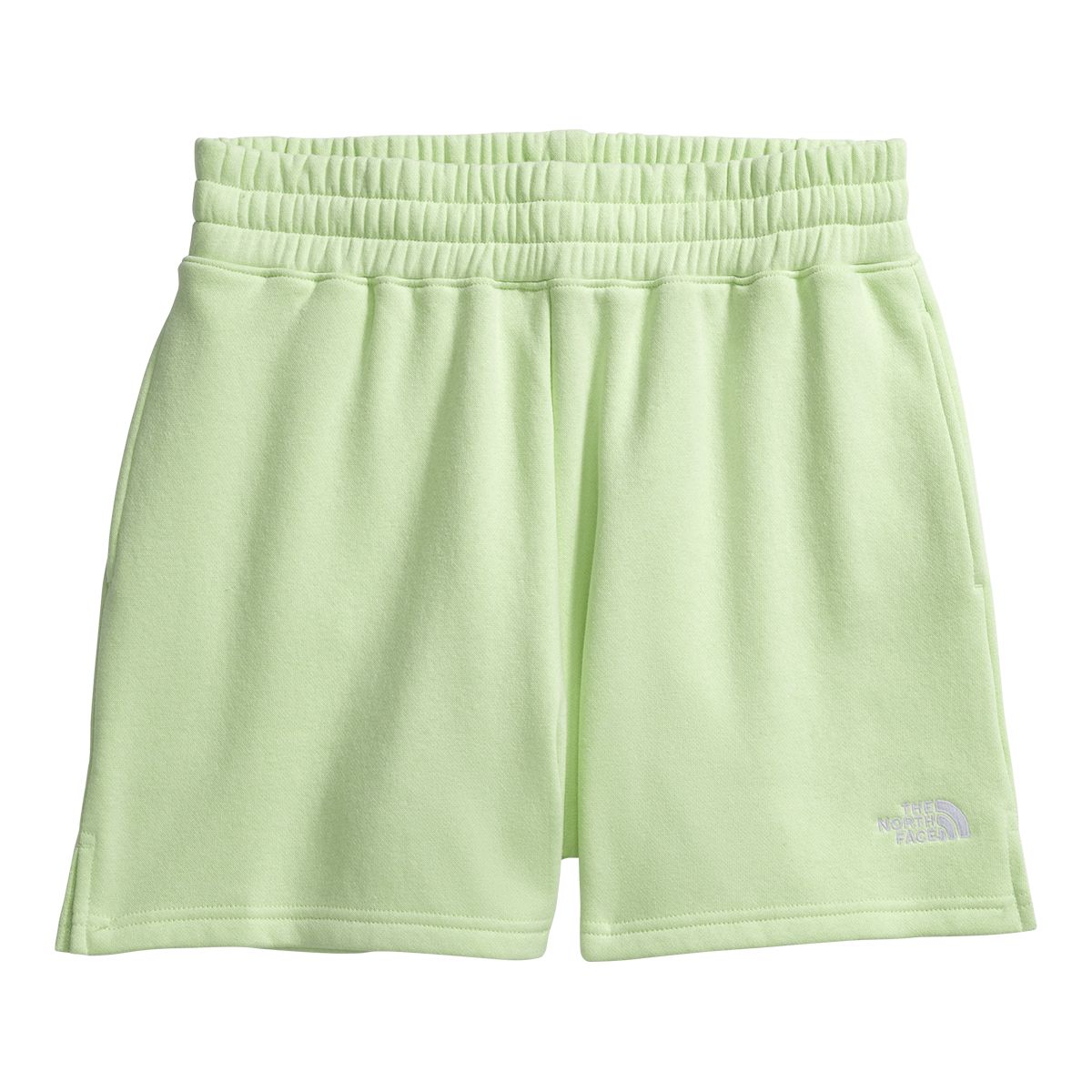 The North Face Women's Evolution Shorts
