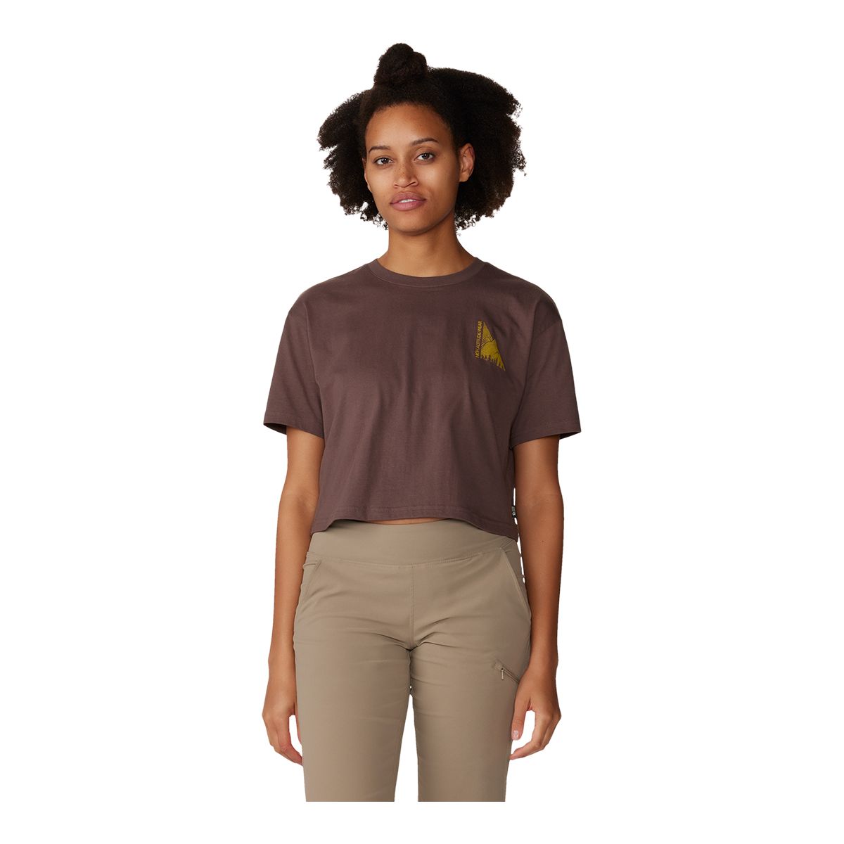 Mountain hardwear t shirt best sale